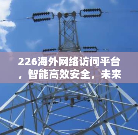 226海外网络访问平台，智能高效安全，未来互联网新趋势
