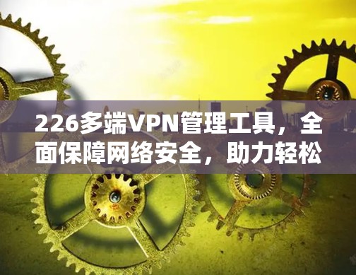 226多端VPN管理工具，全面保障网络安全，助力轻松管理多端网络