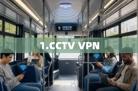 1.CCTV VPN