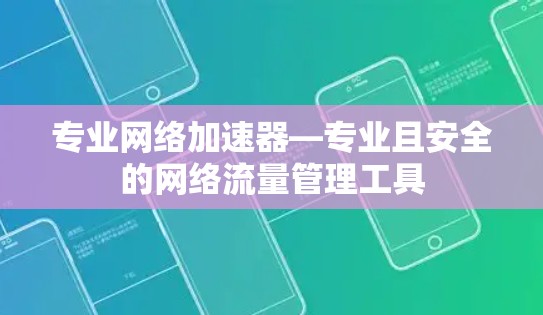 专业网络加速器—专业且安全的网络流量管理工具
