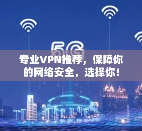 专业VPN推荐，保障你的网络安全，选择你！