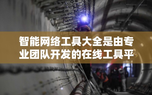 智能网络工具大全是由专业团队开发的在线工具平台，致力于提供丰富的网络工具和资源。以下是关于该网站的主要信息和总结