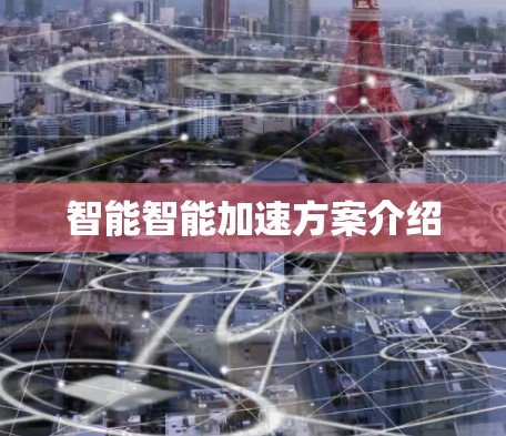 智能智能加速方案介绍