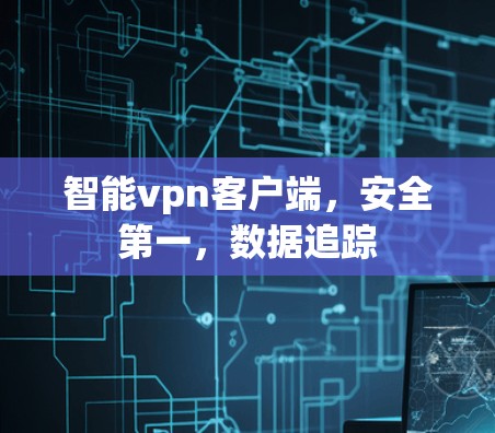 智能vpn客户端，安全第一，数据追踪
