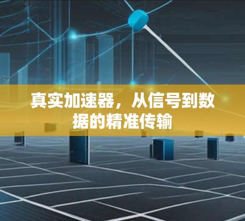 真实加速器，从信号到数据的精准传输