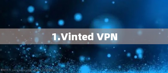1.Vinted VPN