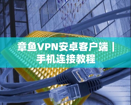 章鱼VPN安卓客户端｜手机连接教程