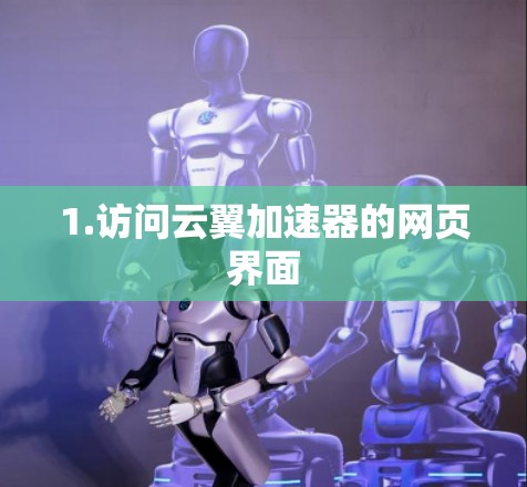 1.访问云翼加速器的网页界面