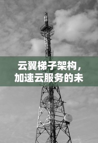 云翼梯子架构，加速云服务的未来解决方案