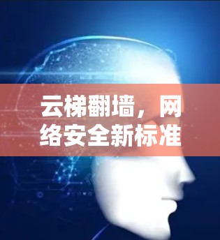 云梯翻墙，网络安全新标准
