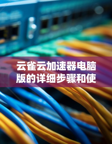 云雀云加速器电脑版的详细步骤和使用指南