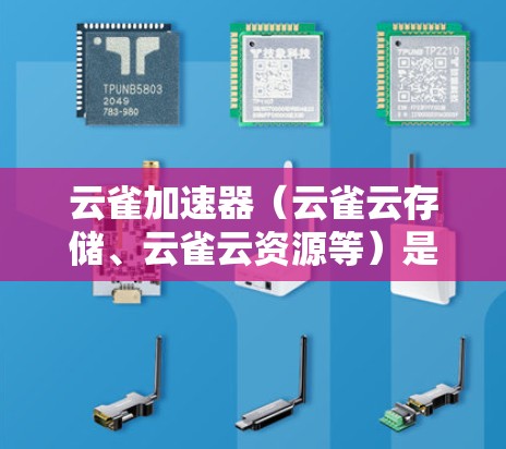 云雀加速器（云雀云存储、云雀云资源等）是云存储服务中的一个关键组件，以下是根据不同需求推荐的云雀加速器节点