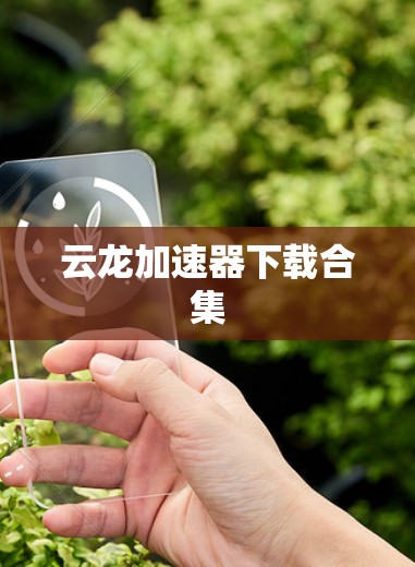 云龙加速器下载合集