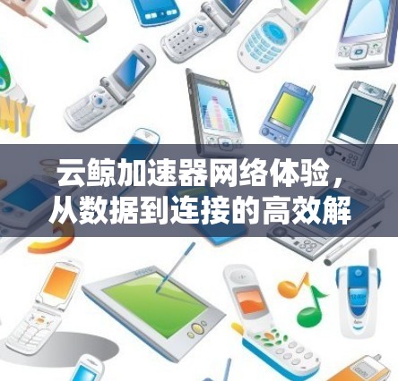 云鲸加速器网络体验，从数据到连接的高效解决方案
