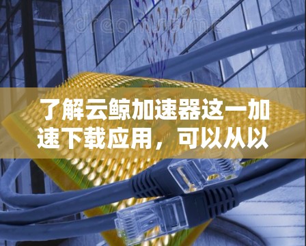 了解云鲸加速器这一加速下载应用，可以从以下几个方面进行