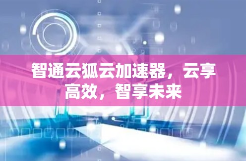 智通云狐云加速器，云享高效，智享未来