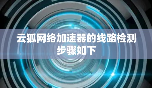 云狐网络加速器的线路检测步骤如下
