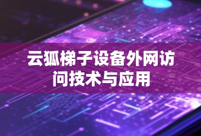 云狐梯子设备外网访问技术与应用