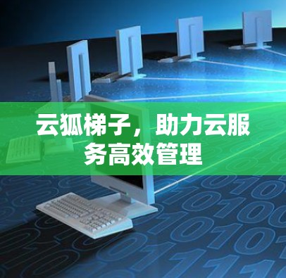 云狐梯子，助力云服务高效管理
