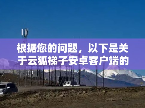 根据您的问题，以下是关于云狐梯子安卓客户端的详细信息