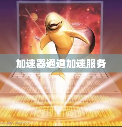 加速器通道加速服务