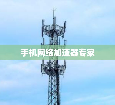 手机网络加速器专家