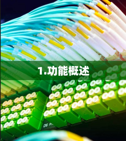 1.功能概述