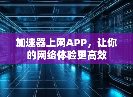 加速器上网APP，让你的网络体验更高效