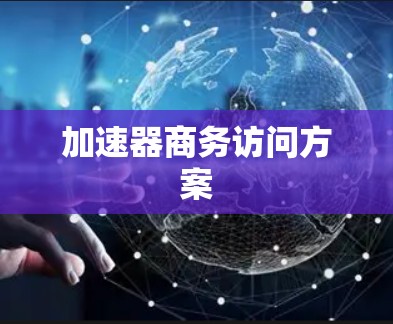 加速器商务访问方案