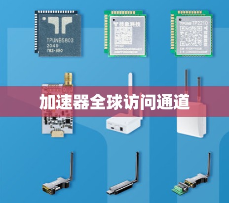 加速器全球访问通道