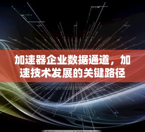 加速器企业数据通道，加速技术发展的关键路径