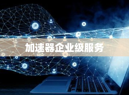 加速器企业级服务