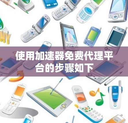 使用加速器免费代理平台的步骤如下