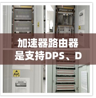 加速器路由器是支持DPS、DDoS、DDoS-TCP-TCP等扩展接口的，能够通过自动化配置和多路器功能来增强网络防护能力。以下是关于加速器路由器的详细信息