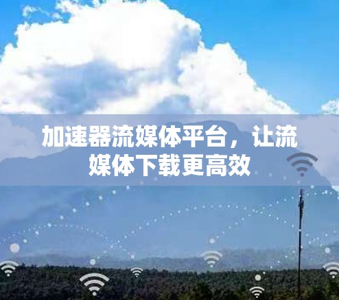 加速器流媒体平台，让流媒体下载更高效