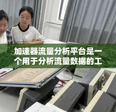 加速器流量分析平台是一个用于分析流量数据的工具，广泛应用于企业级和个人用户场景。以下是对其功能和使用步骤的详细分析