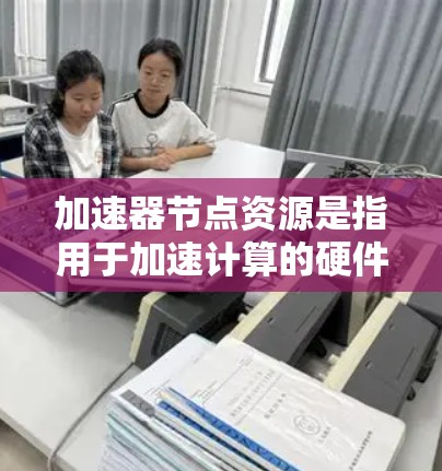 加速器节点资源是指用于加速计算的硬件资源，主要包括GPU、TPU等。这些资源通过并行计算显著提升处理速度，适用于机器学习、数据科学、计算机视觉等领域。以下是对这些加速器节点资源的总结