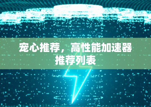 宠心推荐，高性能加速器推荐列表