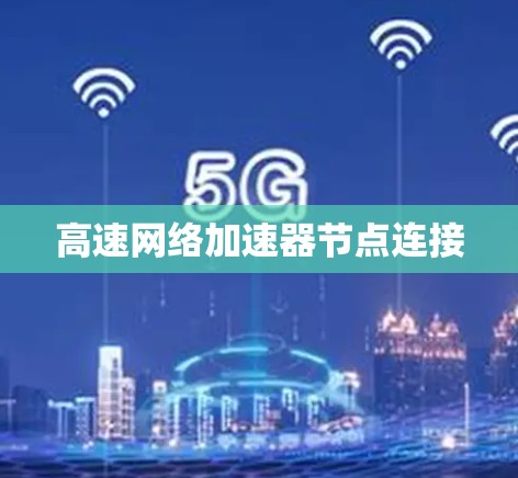 高速网络加速器节点连接