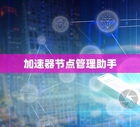 加速器节点管理助手