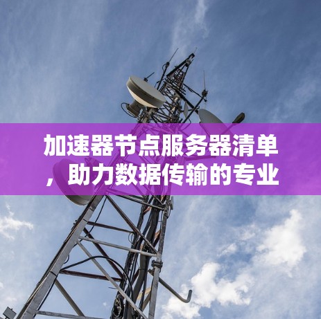 加速器节点服务器清单，助力数据传输的专业解决方案