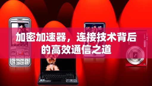 加密加速器，连接技术背后的高效通信之道