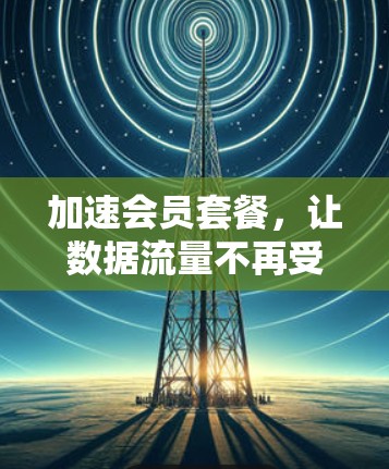 加速会员套餐，让数据流量不再受限