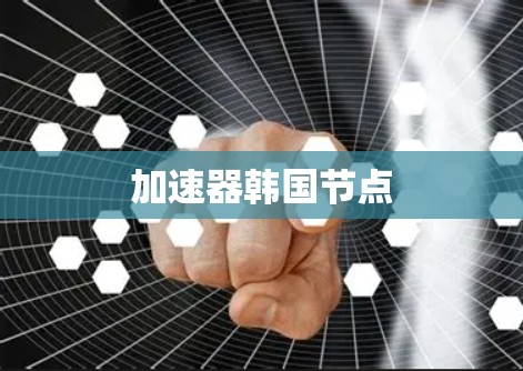 加速器韩国节点