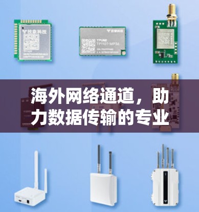 海外网络通道，助力数据传输的专业解决方案
