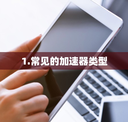 1.常见的加速器类型