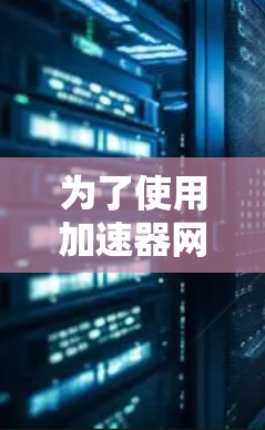 为了使用加速器网站访问工具访问国外网站，您可以按照以下步骤进行操作