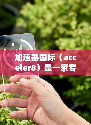 加速器国际（acceler8）是一家专注于优化和加速电脑系统性能的国际加速器公司。以下是对他们IP资源的详细介绍