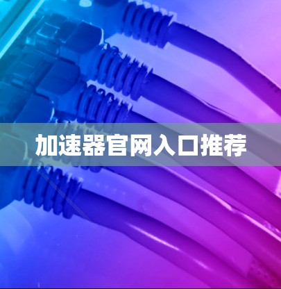 加速器官网入口推荐
