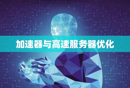 加速器与高速服务器优化